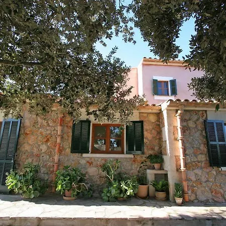 Alzina * Alcudia (Mallorca)